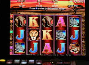 金女王模拟器(无限金币)电脑免费版